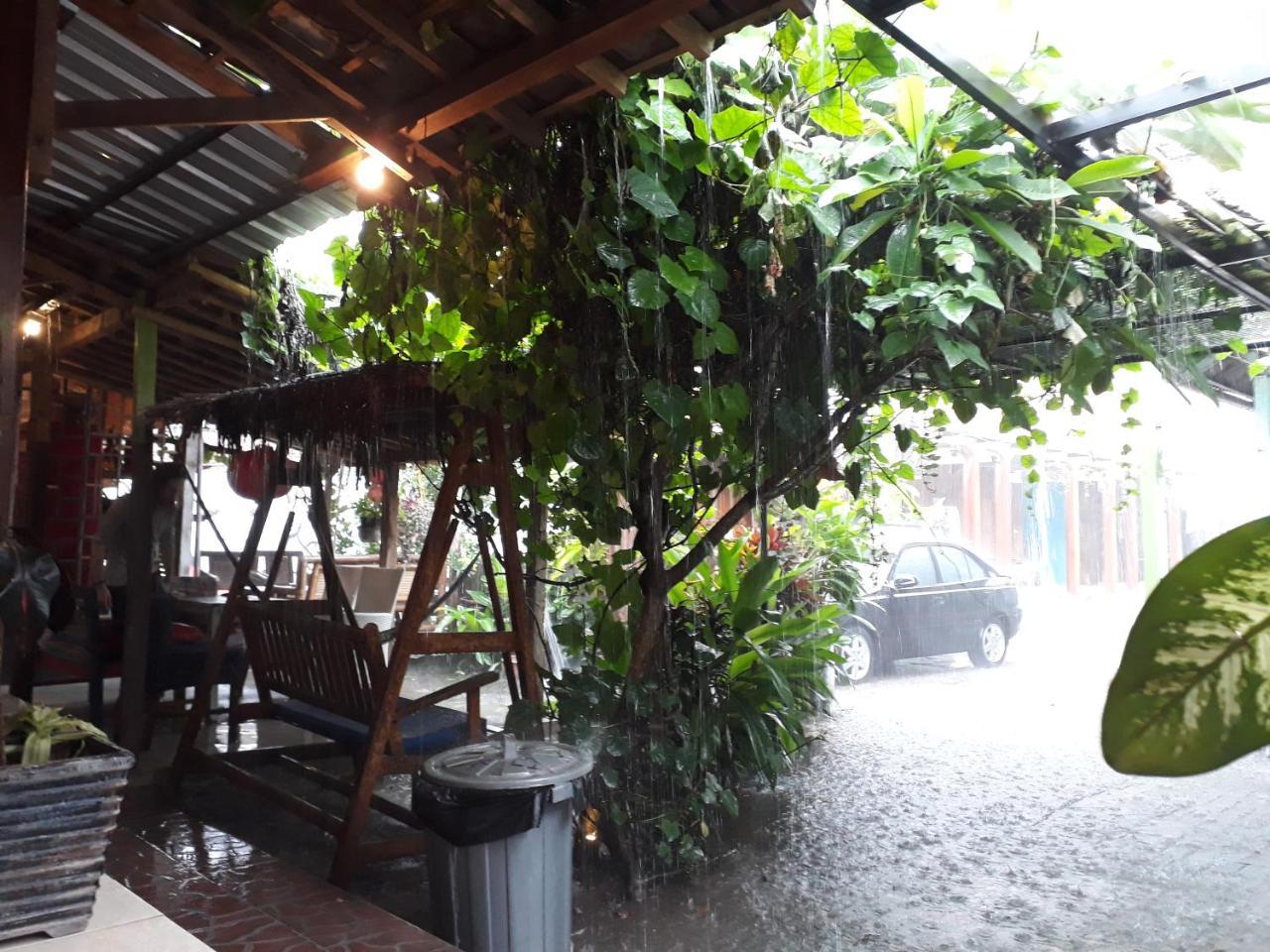 Hostel Arjuna Garden